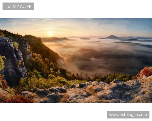 探索巴登巴登APP：让你的旅行体验更精彩